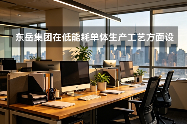 东岳集团在低能耗单体生产工艺方面设立了哪些行业基准？