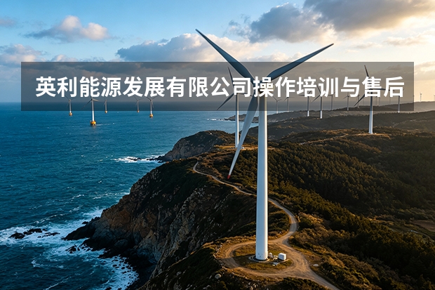 英利能源发展有限公司操作培训与售后