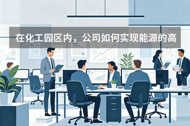 在化工园区内，公司如何实现能源的高效梯级利用？