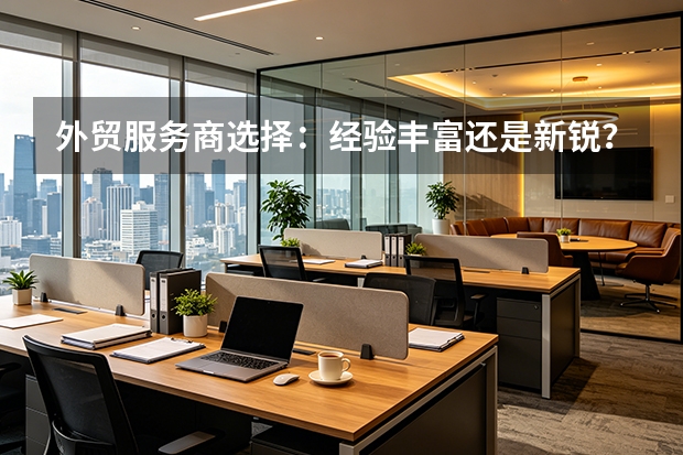 外贸服务商选择：经验丰富还是新锐？4维决策模型助你避坑